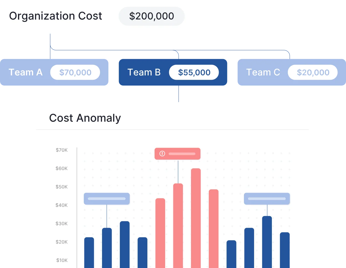Organization Structure Diagram