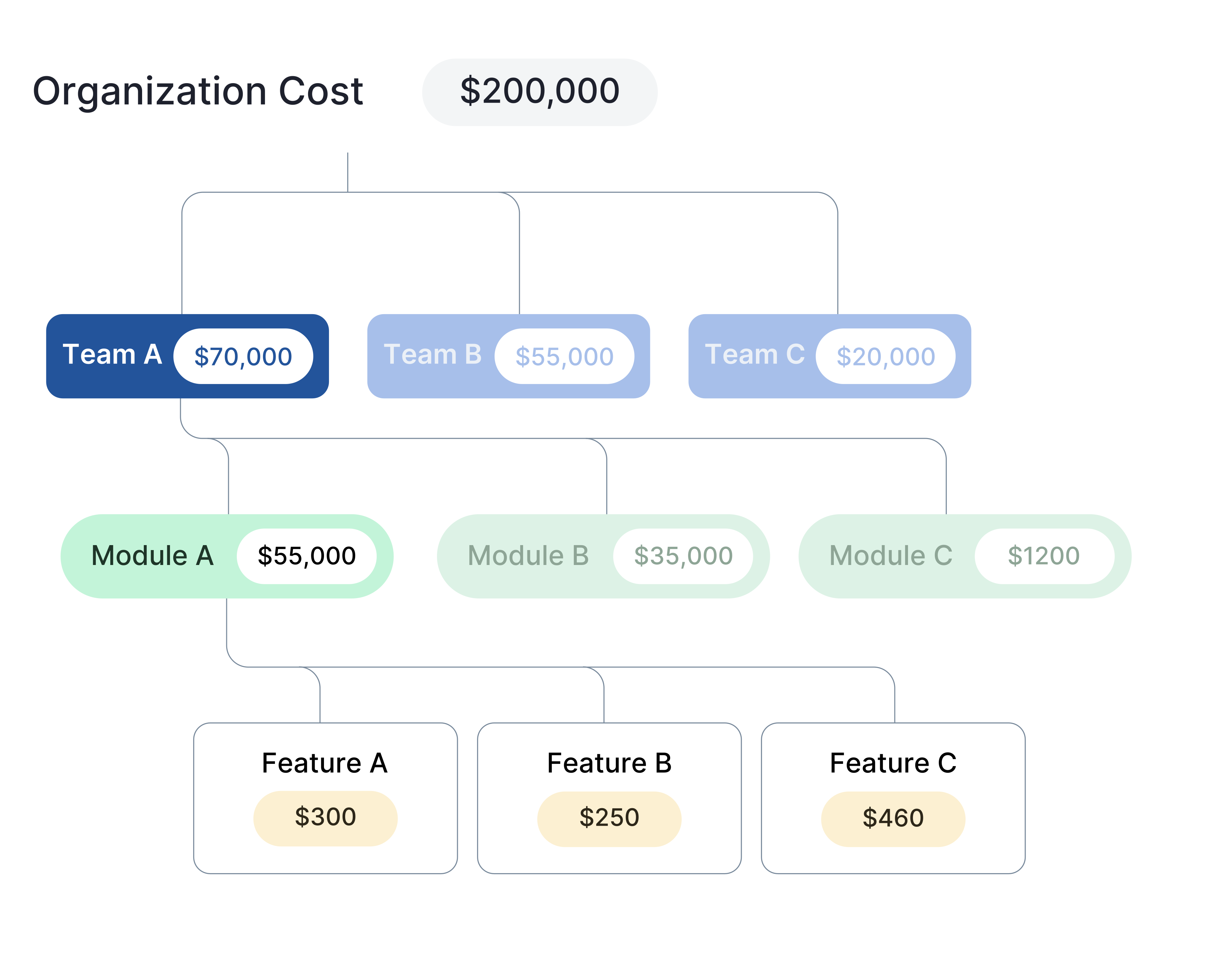 Organization Structure Diagram